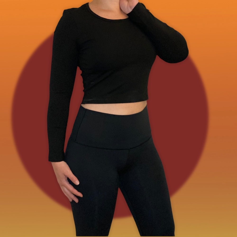 Talula Fitted Long Sleeve Crop Top from Aritzia